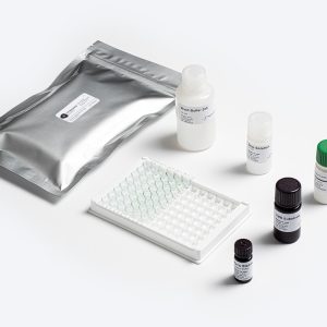 T-2 and HT-2 Mycotoxin ELISA Test Kit by Prognosis Biotech distributed by GeneVizion Indonesia.