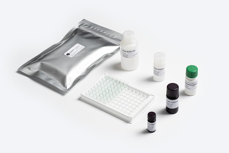 T-2 and HT-2 Mycotoxin ELISA Test Kit by Prognosis Biotech distributed by GeneVizion Indonesia.