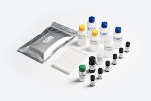 Allergen-Shield BLG Milk Allergen Test Kit components by Prognosis Biotech, distributed in Indonesia by GeneVizion
