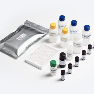 Allergen-Shield BLG Milk Allergen Test Kit components by Prognosis Biotech, distributed in Indonesia by GeneVizion