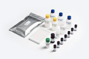 Prognosis Biotech Allergen Shield Gluten S ELISA test kit for gluten detection in food samples, distributed by GeneVizion Indonesia.