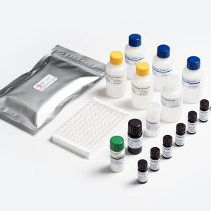 Prognosis Biotech Allergen Shield Gluten S ELISA test kit for gluten detection in food samples, distributed by GeneVizion Indonesia.