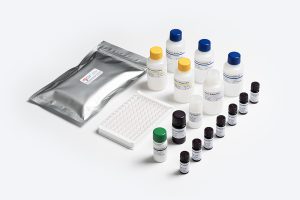 Prognosis Biotech Allergen Shield Soy ELISA test kit for food allergen analysis distributed by GeneVizion in Indonesia.