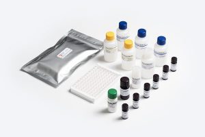 Allergen Shield Total Milk ELISA test kit by Prognosis Biotech for food allergen analysis in Indonesia. Distributed by GeneVizion.