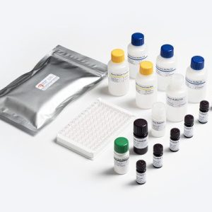 Allergen Shield Total Milk ELISA test kit by Prognosis Biotech for food allergen analysis in Indonesia. Distributed by GeneVizion.