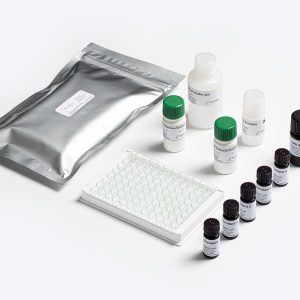 Bio-Shield DON ELISA Test Kit for Deoxynivalenol Mycotoxin Testing by Prognosis Biotech Indonesia