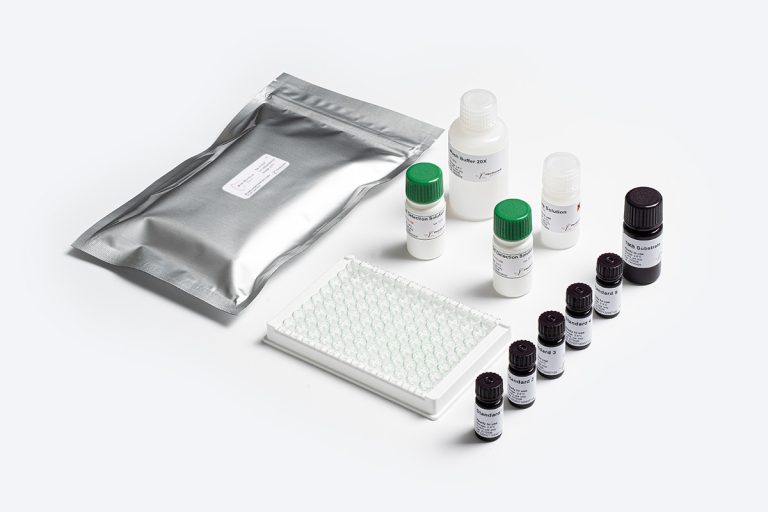 Bio-Shield DON ELISA Test Kit for Deoxynivalenol Mycotoxin Testing by Prognosis Biotech Indonesia