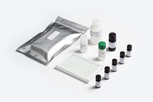 Bio-Shield Ochratoxin ELISA test kit components by Prognosis Biotech for food safety testing in Indonesia.