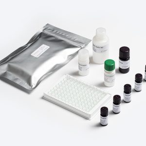 Bio-Shield Ochratoxin ELISA test kit components by Prognosis Biotech for food safety testing in Indonesia.