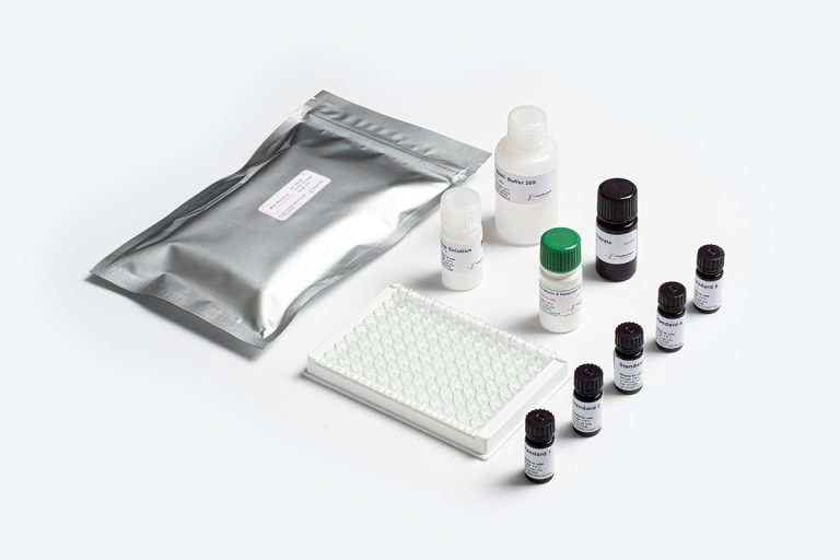 Bio-Shield Ochratoxin ELISA test kit components by Prognosis Biotech for food safety testing in Indonesia.