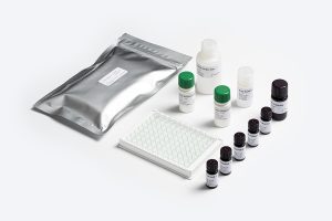 Bio-Shield ZON ELISA test kit for Zearalenone detection by Prognosis Biotech, distributed by GeneVizion Indonesia for laboratory food safety testing.