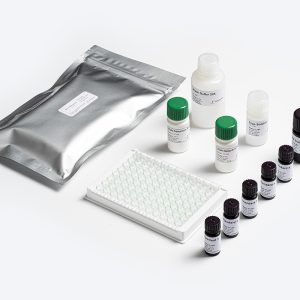 Bio-Shield ZON ELISA test kit for Zearalenone detection by Prognosis Biotech, distributed by GeneVizion Indonesia for laboratory food safety testing.