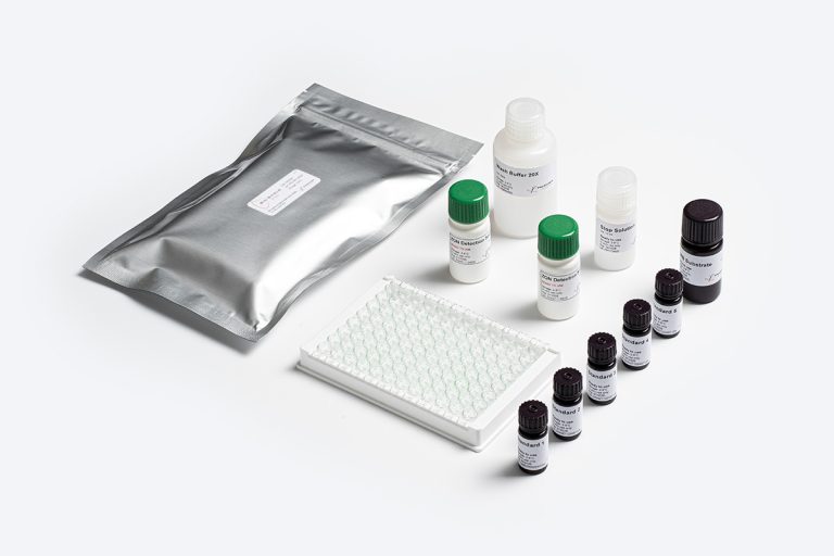 Bio-Shield ZON ELISA test kit for Zearalenone detection by Prognosis Biotech, distributed by GeneVizion Indonesia for laboratory food safety testing.