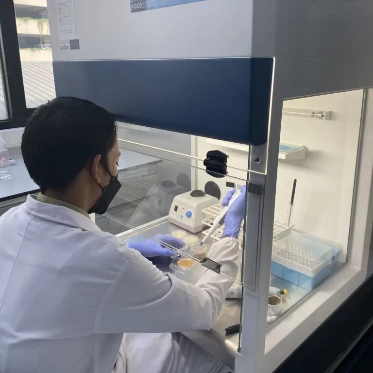 A laboratory technician at PT Neogene Vizion Indonesia performing food safety analysis using a micropipette inside a biosafety cabinet.