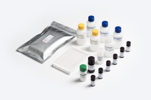 Allergen Shield Casein ELISA test kit from Prognosis Biotech, distributed by GeneVizion Indonesia for food safety analysis.