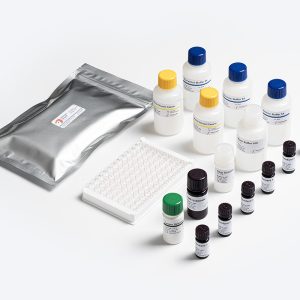 Allergen Shield Casein ELISA test kit from Prognosis Biotech, distributed by GeneVizion Indonesia for food safety analysis.