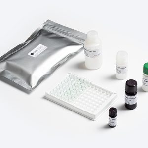 Prognosis Biotech Standard B1 Aflatoxin B1 ELISA test kit components including microplate and reagents, distributed by GeneVizion Indonesia for food safety testing.