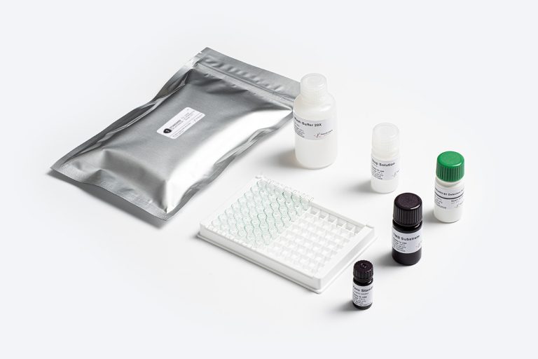 Prognosis Biotech Standard B1 Aflatoxin B1 ELISA test kit components including microplate and reagents, distributed by GeneVizion Indonesia for food safety testing.
