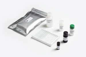 Prognosis Biotech Standard DON (Deoxynivalenol) Mycotoxin ELISA Test Kit components distributed by GeneVizion Indonesia.