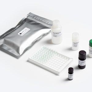 Prognosis Biotech Standard DON (Deoxynivalenol) Mycotoxin ELISA Test Kit components distributed by GeneVizion Indonesia.