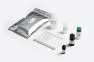 Standard DON W-E Mycotoxin ELISA Test Kit by Prognosis Biotech distributed by GeneVizion Indonesia.
