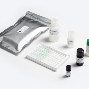 Standard DON W-E Mycotoxin ELISA Test Kit by Prognosis Biotech distributed by GeneVizion Indonesia.