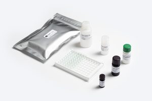 Prognosis Biotech Standard Fumonisin ELISA test kit components distributed by GeneVizion Indonesia for food safety mycotoxin testing.