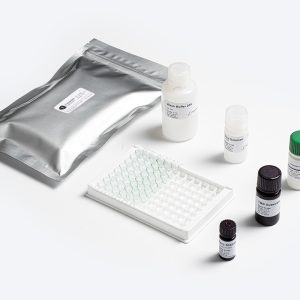 Prognosis Biotech Standard Fumonisin ELISA test kit components distributed by GeneVizion Indonesia for food safety mycotoxin testing.