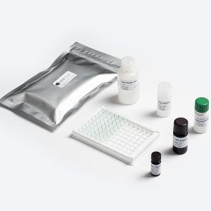 Kit pengujian Standard Ochratoxin A dari Prognosis Biotech untuk analisis mikotoksik di laboratorium pangan Indonesia.