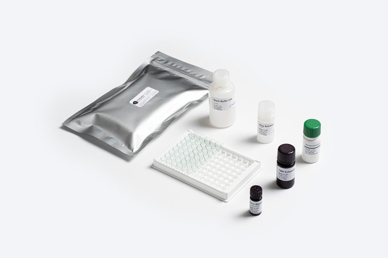 Kit pengujian Standard Ochratoxin A dari Prognosis Biotech untuk analisis mikotoksik di laboratorium pangan Indonesia.