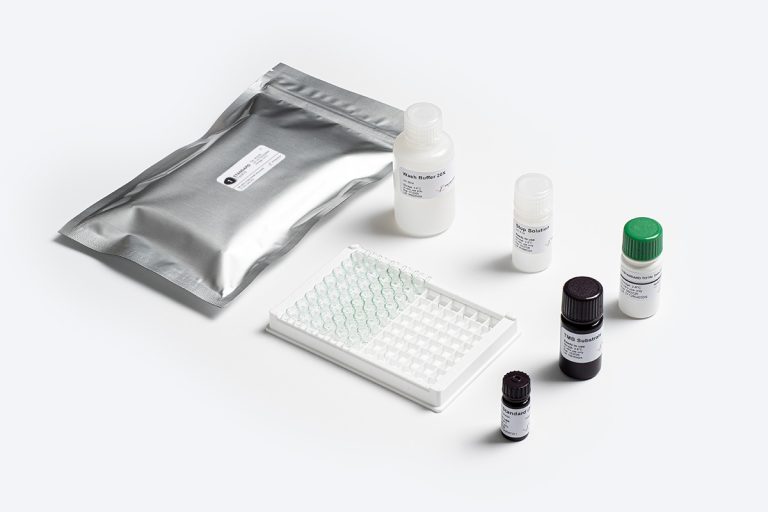Standard Total Aflatoxin ELISA Test Kit by Prognosis Biotech distributed by GeneVizion Indonesia.