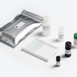 Standard ZON ELISA test kit by Prognosis Biotech for Zearalenone mycotoxin analysis in food and feed samples, distributed by GeneVizion Indonesia.